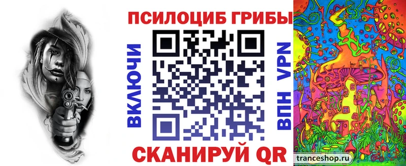 Галлюциногенные грибы Cubensis  blacksprut ссылка  Вытегра 